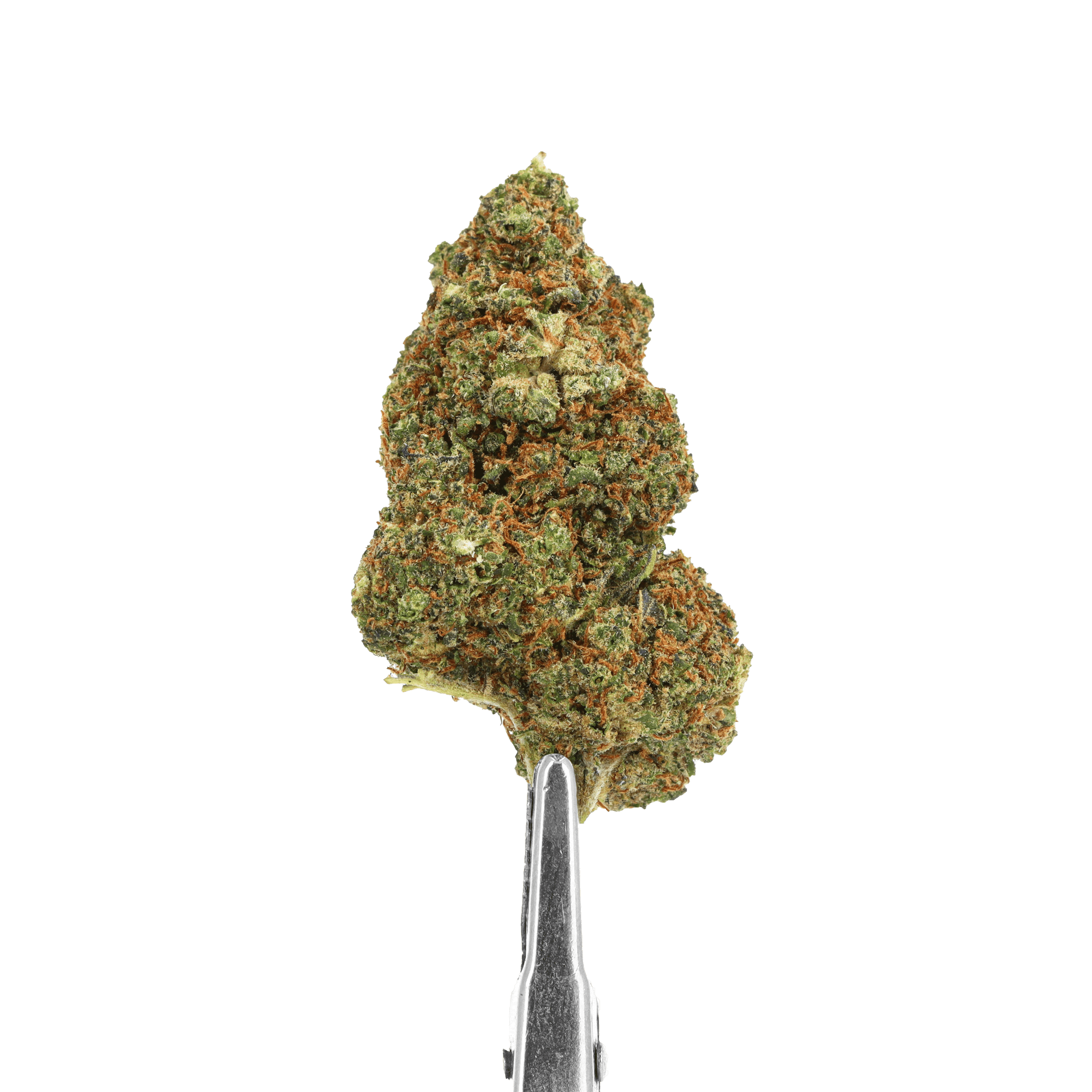 qualité fleurs