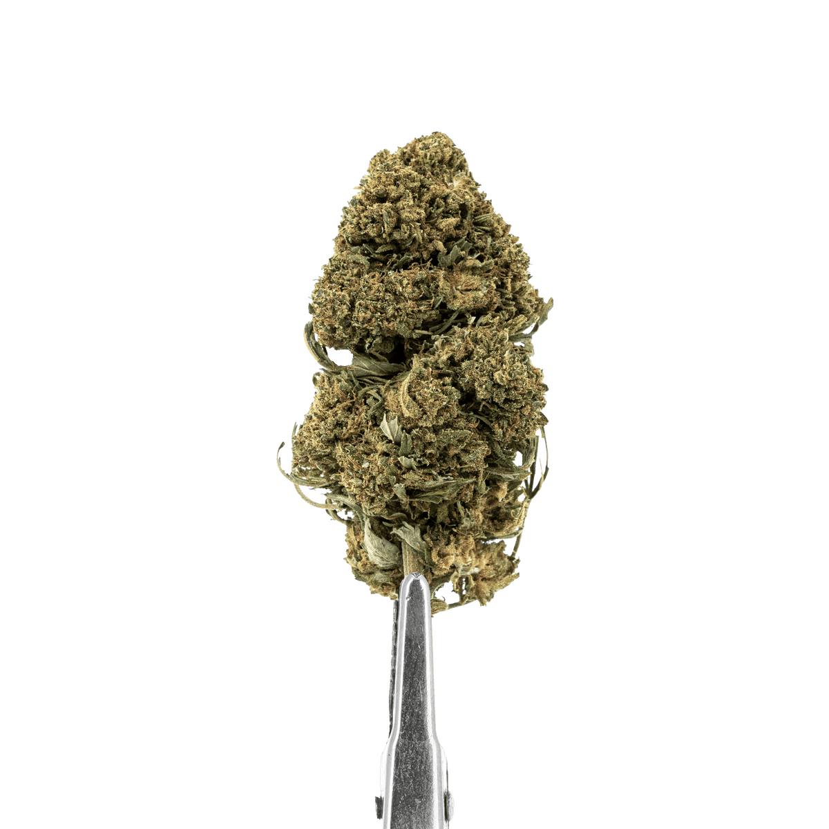 Grape Ape HDH