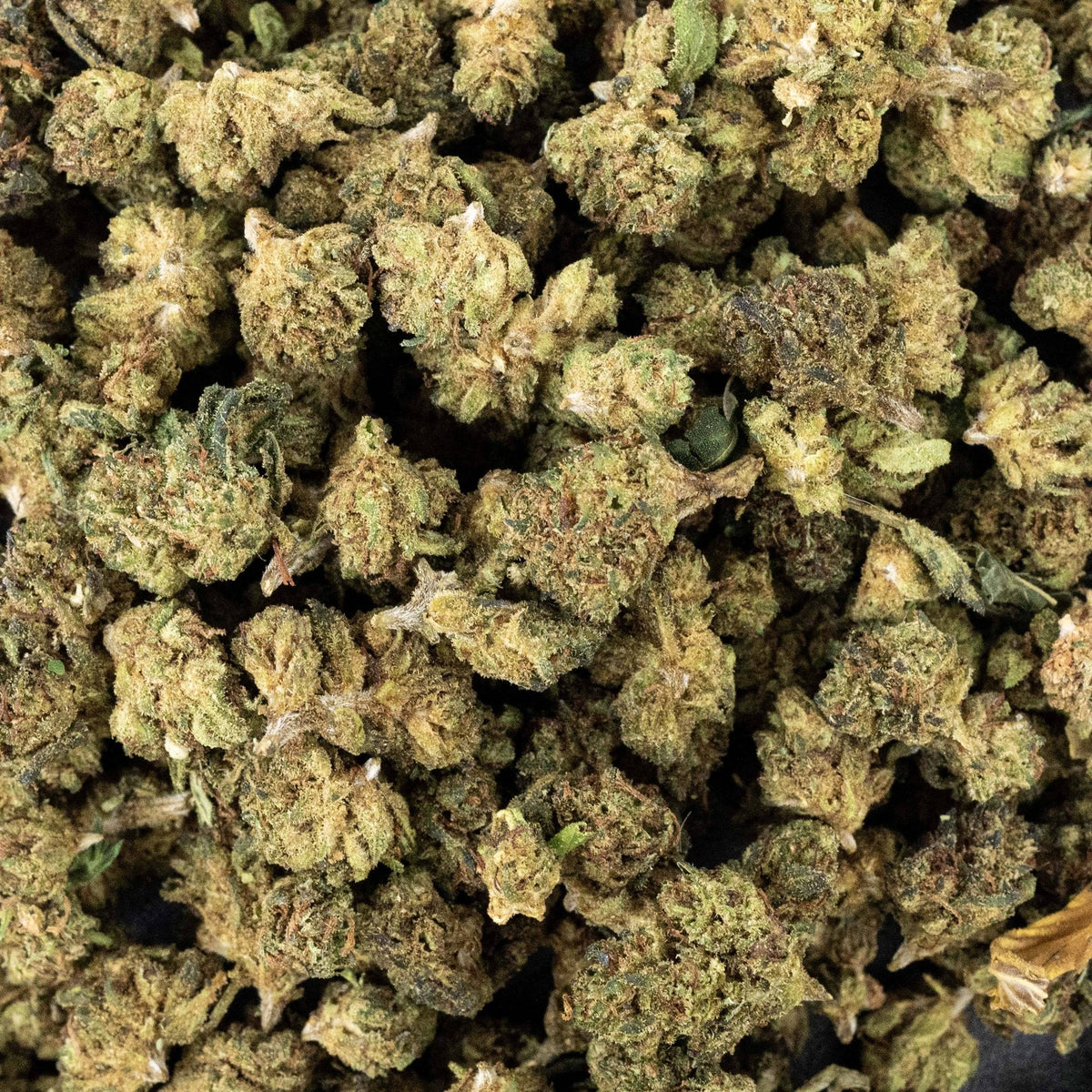 FLEURS HDH - GRAPE APE - SMALL BUD - puissante