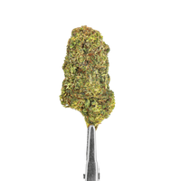 FLEURS HDH - NORTHERN LIGHT 3.0 - HYDRO