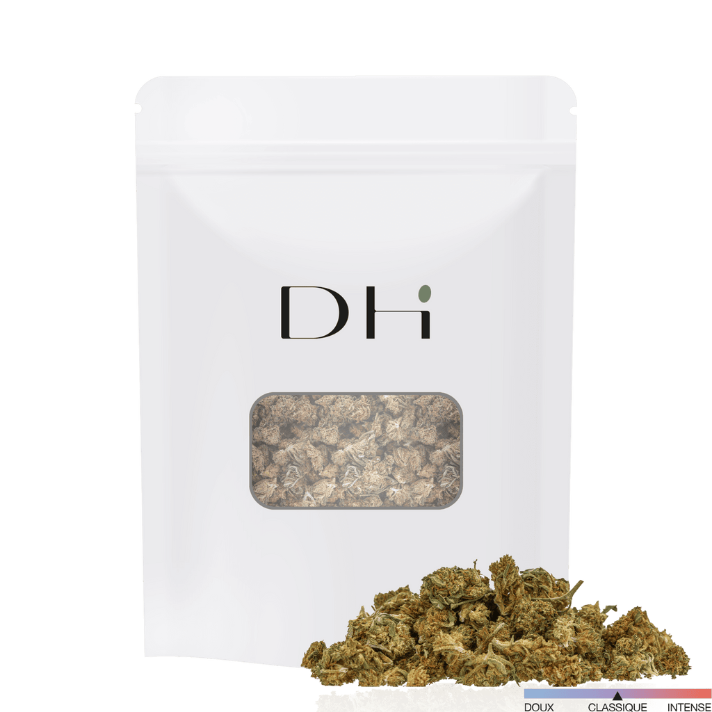 Hdh Small Bud