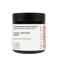 CHAMPIGNONS ADAPTOGÈNES - RÉCUPÉRATION