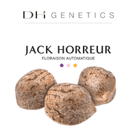 GRAINES CBD - Jack Horreur Automatique
