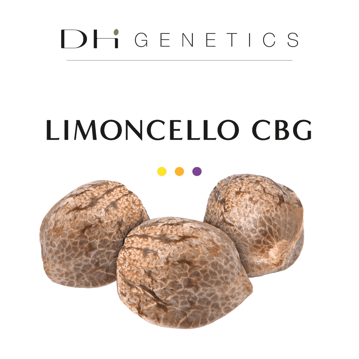 GRAINES CBD - Limoncello CBG