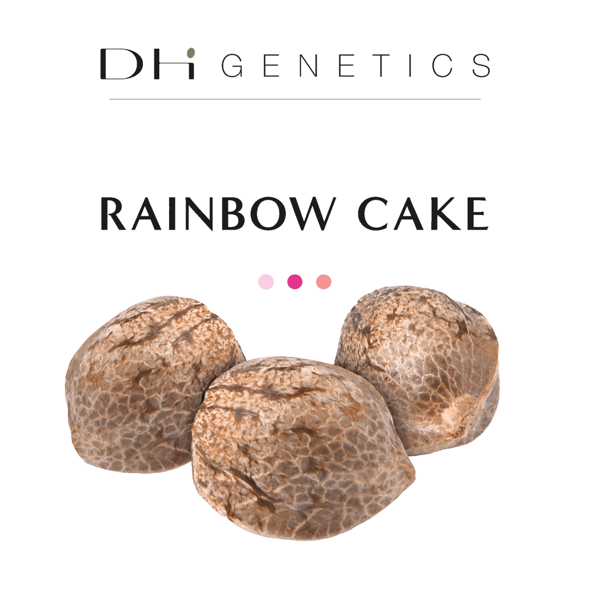 GRAINES CBD - Rainbow Cake