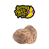 Graines THC FAST BUDS - Banana Purple - Auto floraison