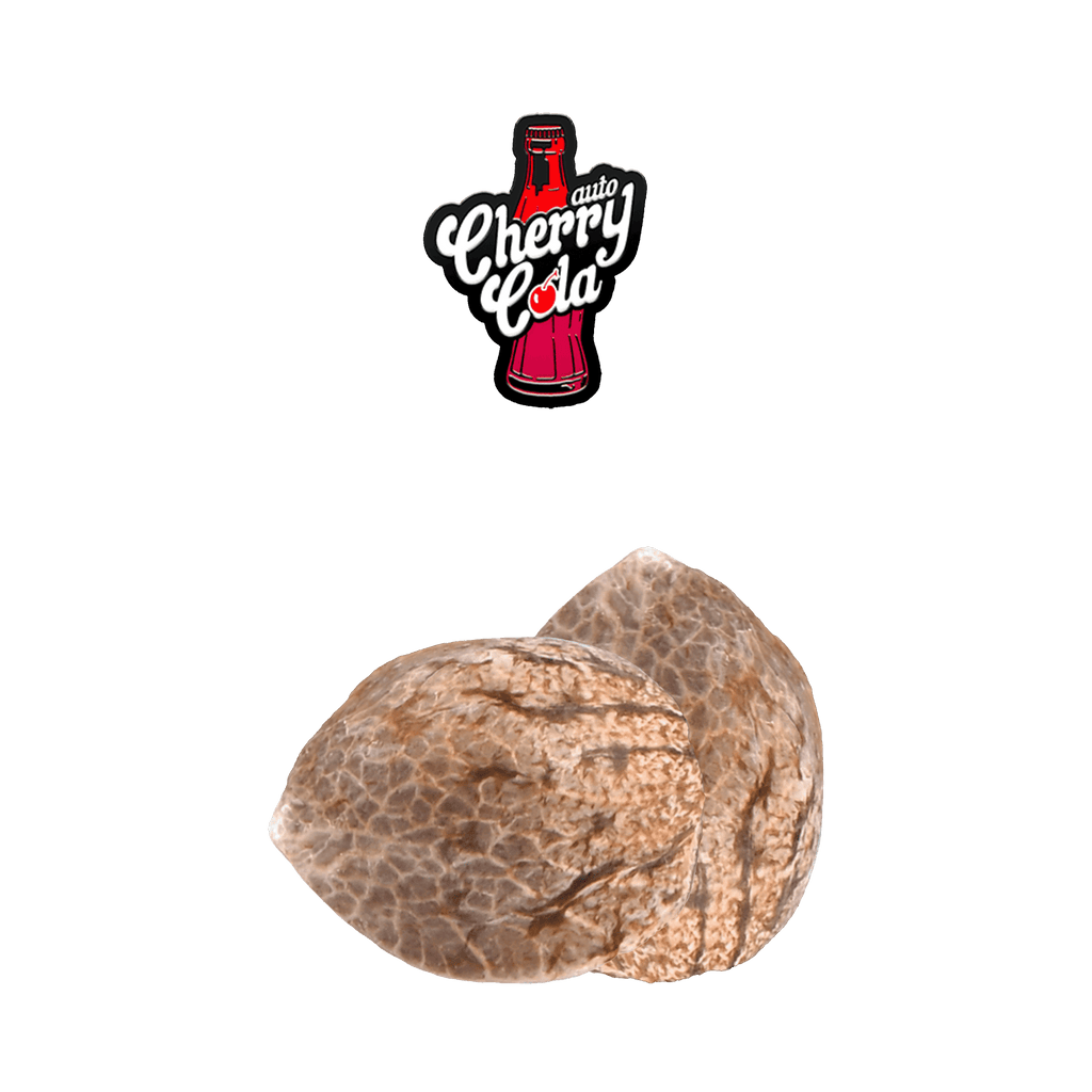 thc seed cherry cola