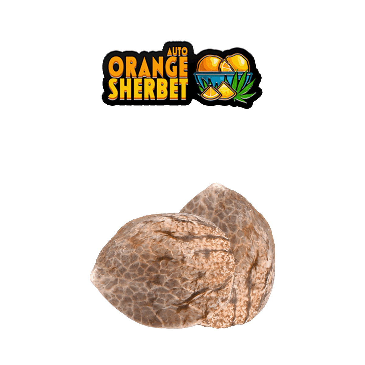 Orange Sherbet