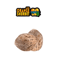 Orange Sherbet