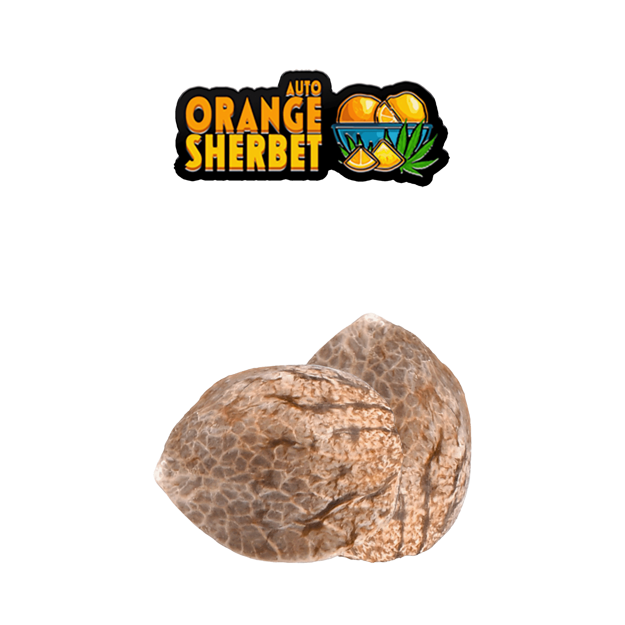 Orange Sherbet
