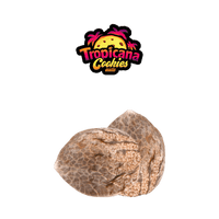 Graines THC FAST BUDS - Tropicana Cookie - Auto floraison