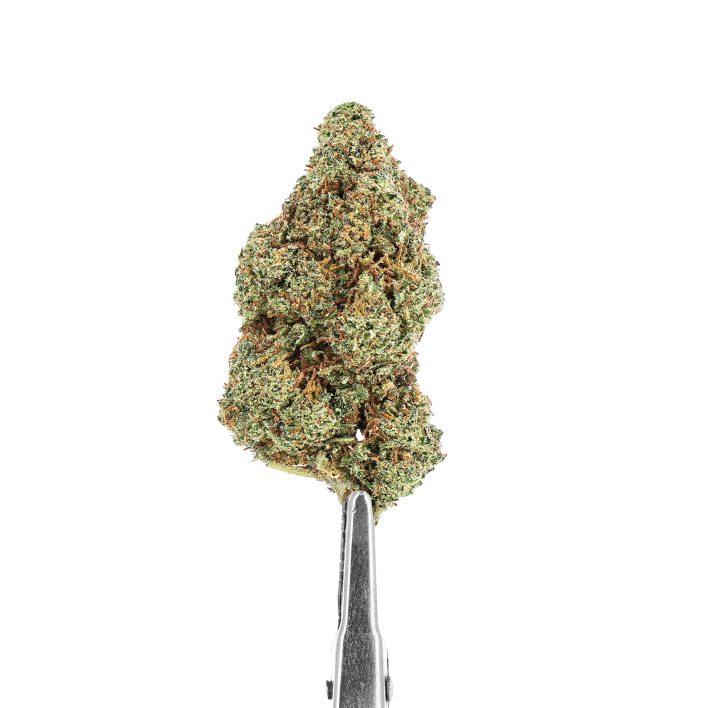 Munchies Madness 420