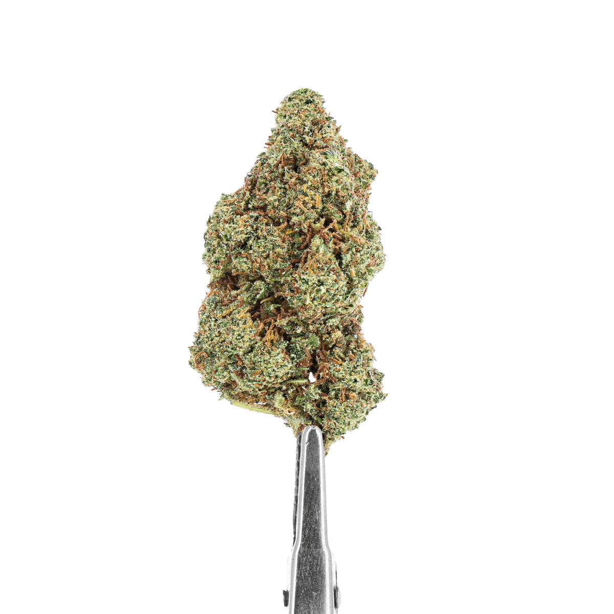 Munchies Madness 420