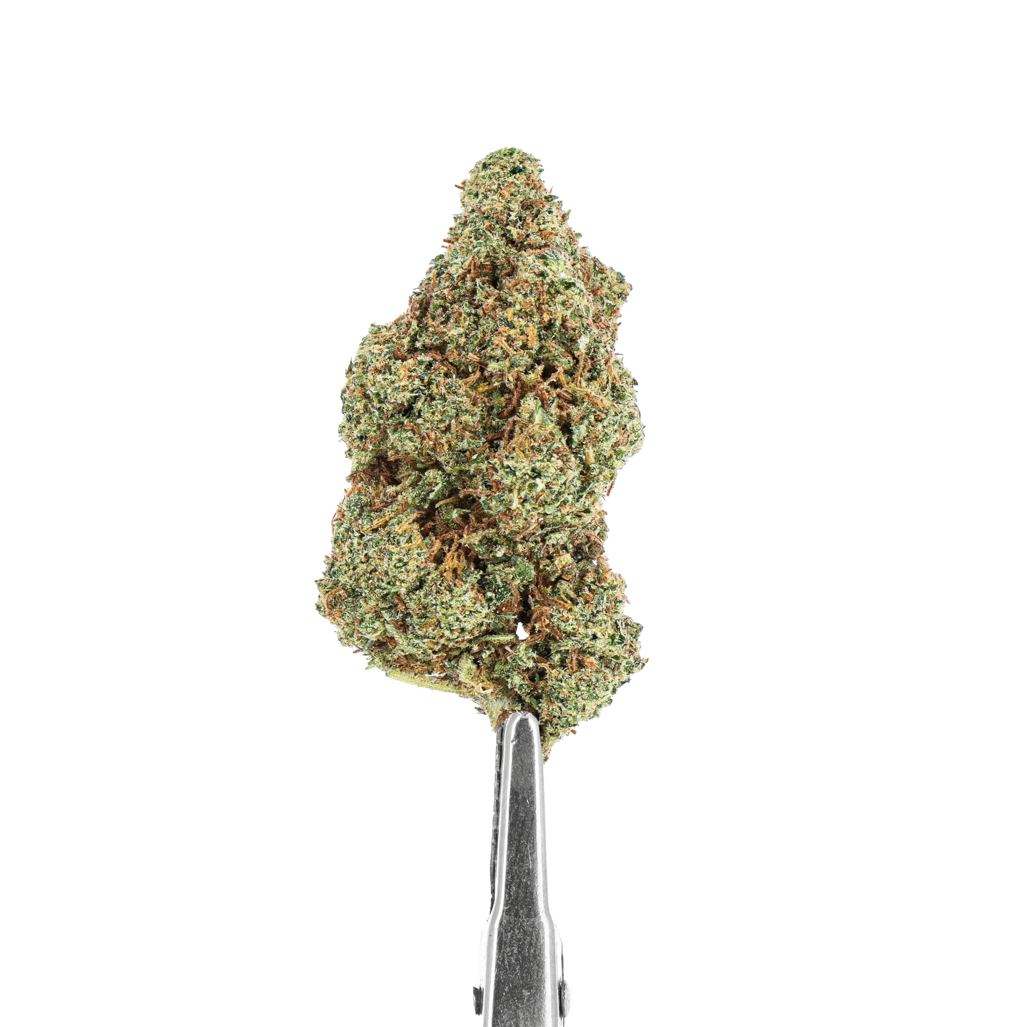 Munchies Madness 420