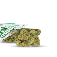 OFFRE 420 chanvre