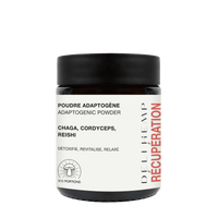 poudre chapignon adaptogène