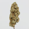 WHITE WIDOW.mp4