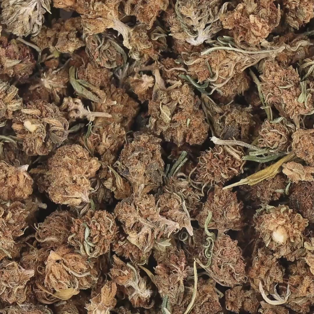 WHITE_WIDOW_SMALLBUDS_VIDEO.mp4