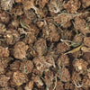 WHITE_WIDOW_SMALLBUDS_VIDEO.mp4