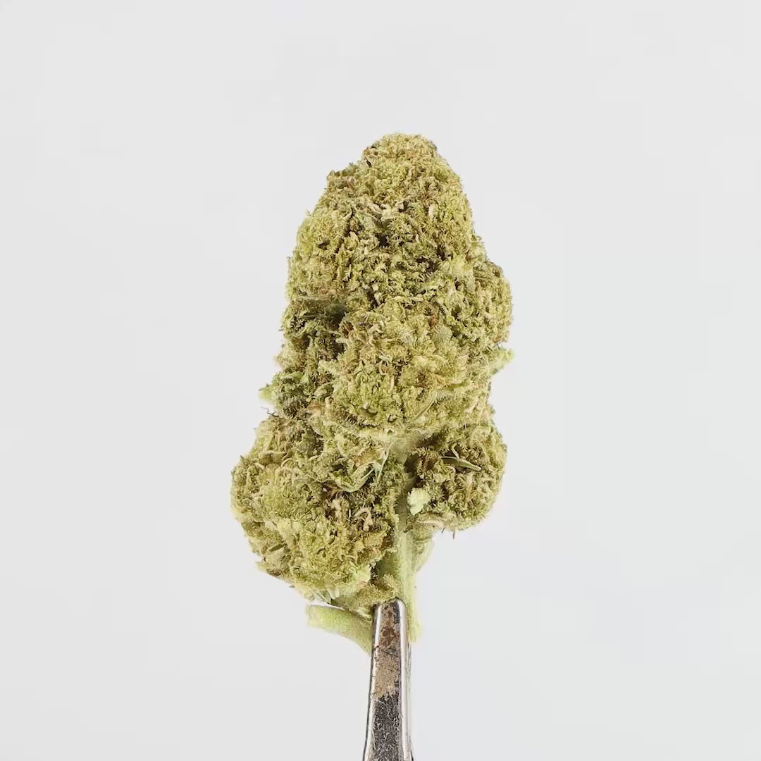 GREEN_CRACK.mp4