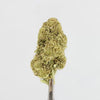 GREEN_CRACK.mp4