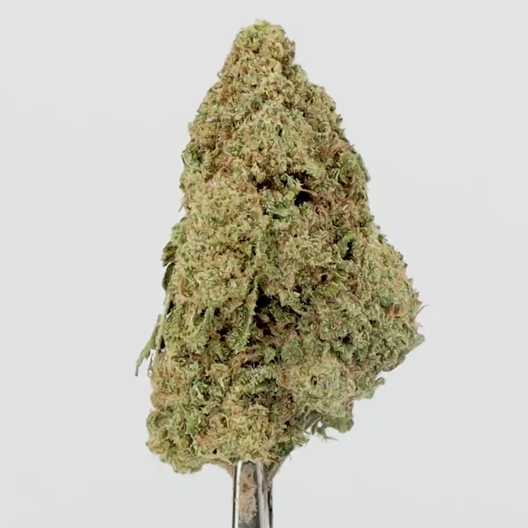 APPLE FRITTER.mp4