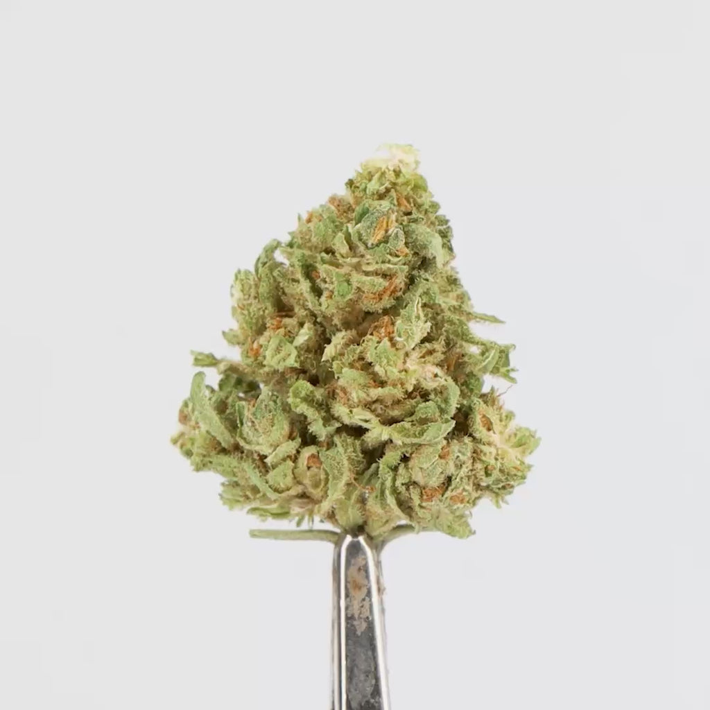 BUBBA KUSH.mp4