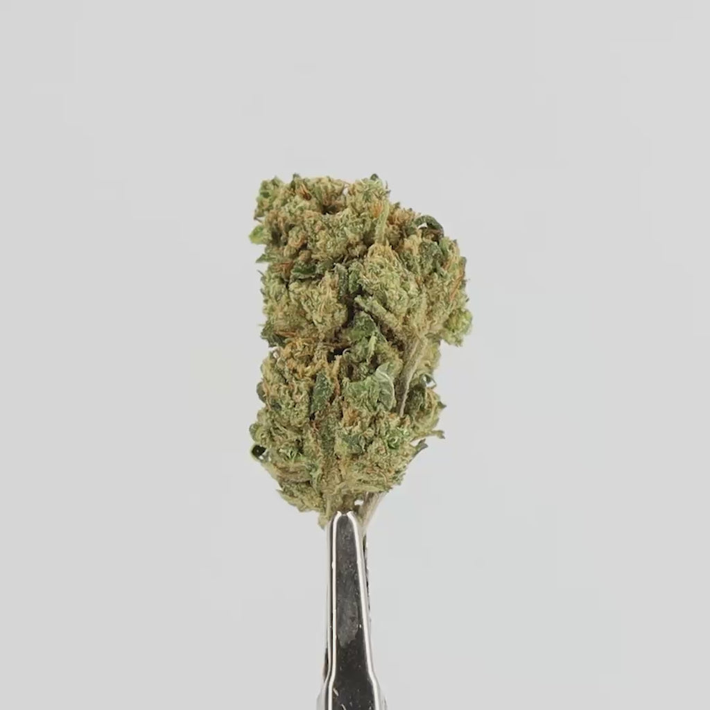 BLUEBERRY_MID_BUDS_VIDEO.mp4