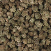 FLEURS_VIDEO_Critical-Kush-SB.mp4