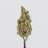 GORILLA_GLUE_VIDEO (1).mp4