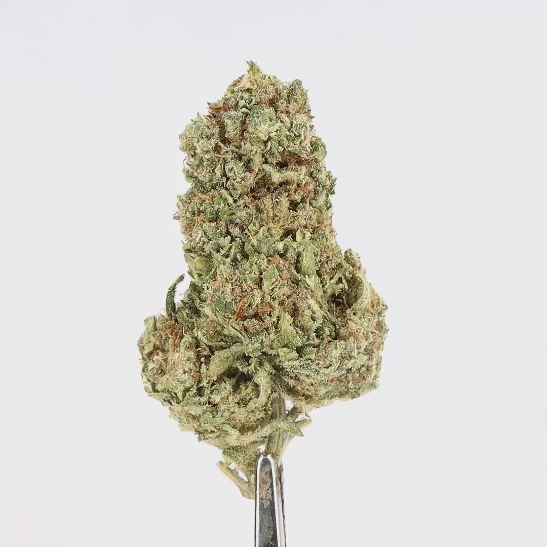 ZKITTLEZ.mp4