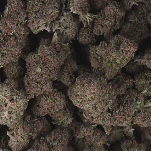 Vidéo
