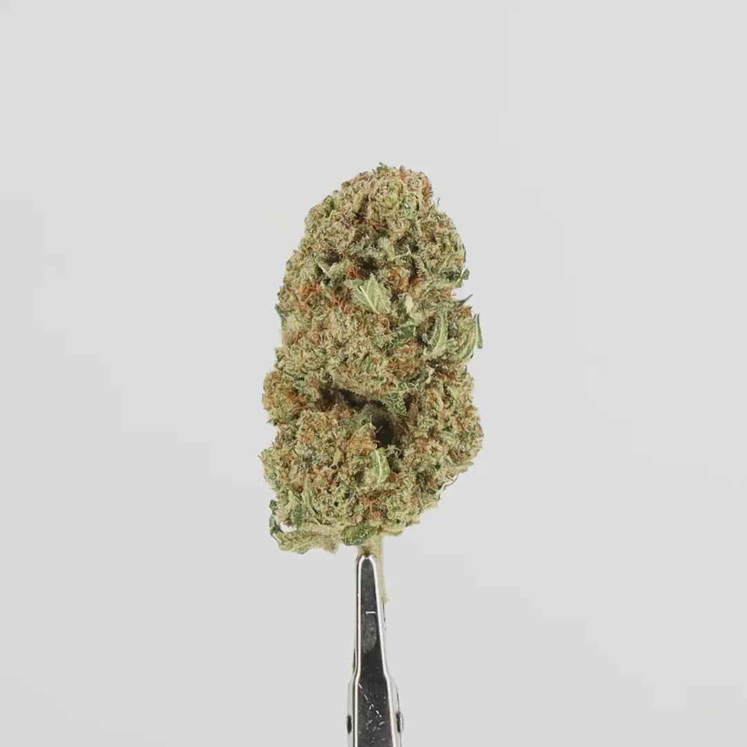 LIBERTY_HAZE.mp4