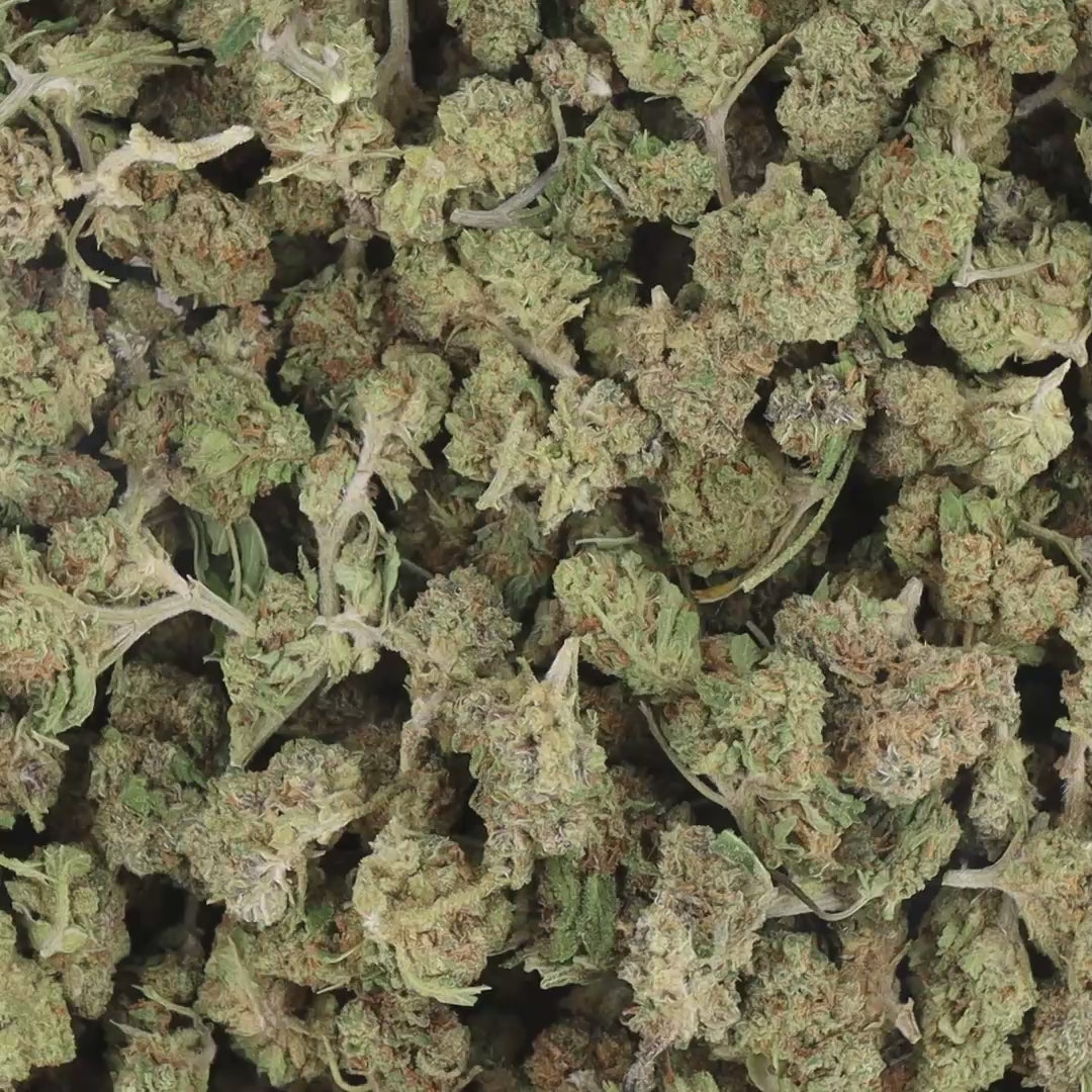 BLUEBERRY_SB_VIDEO.mp4