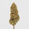 BANANA KUSH.mp4