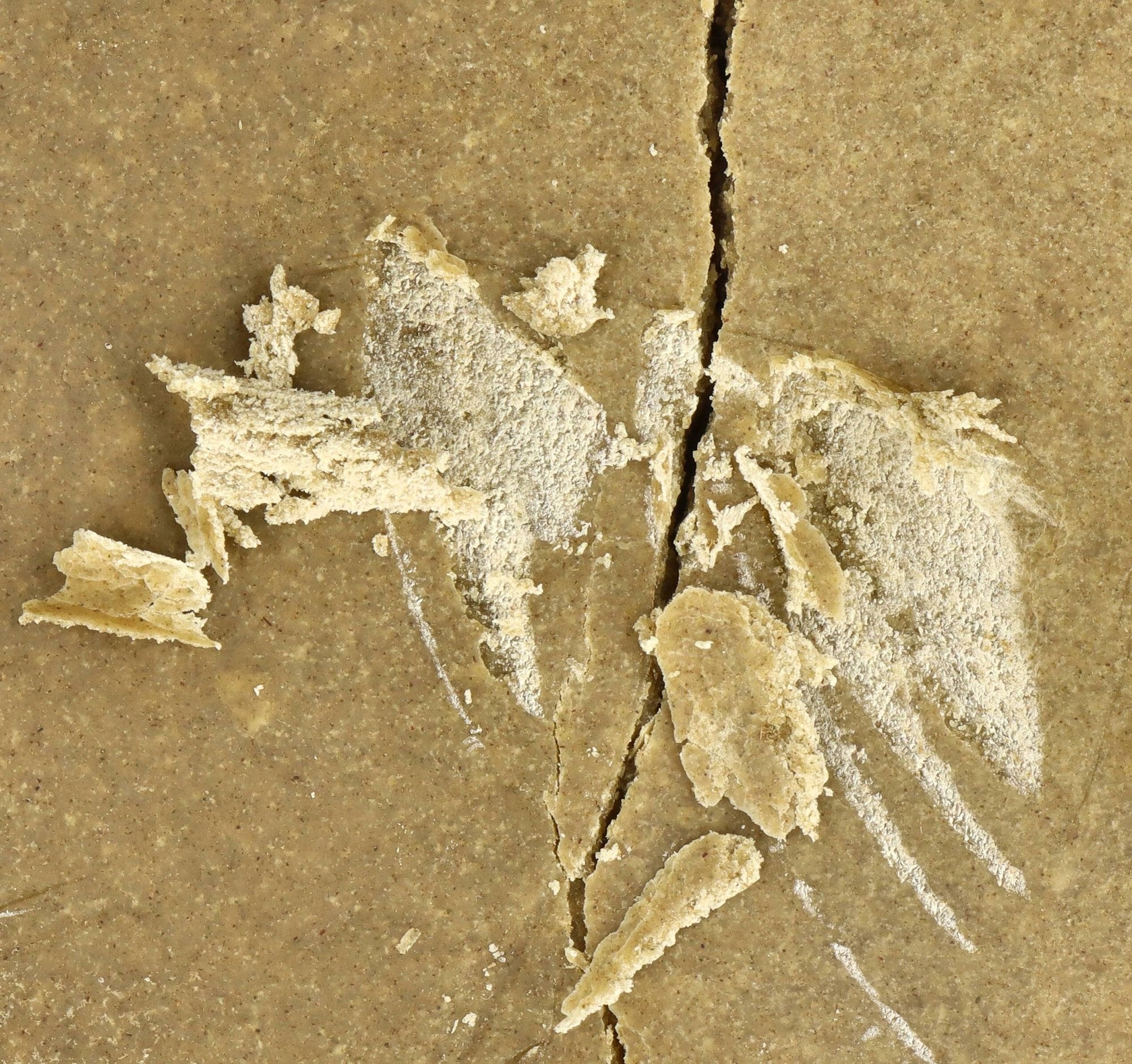 dry sift CBD