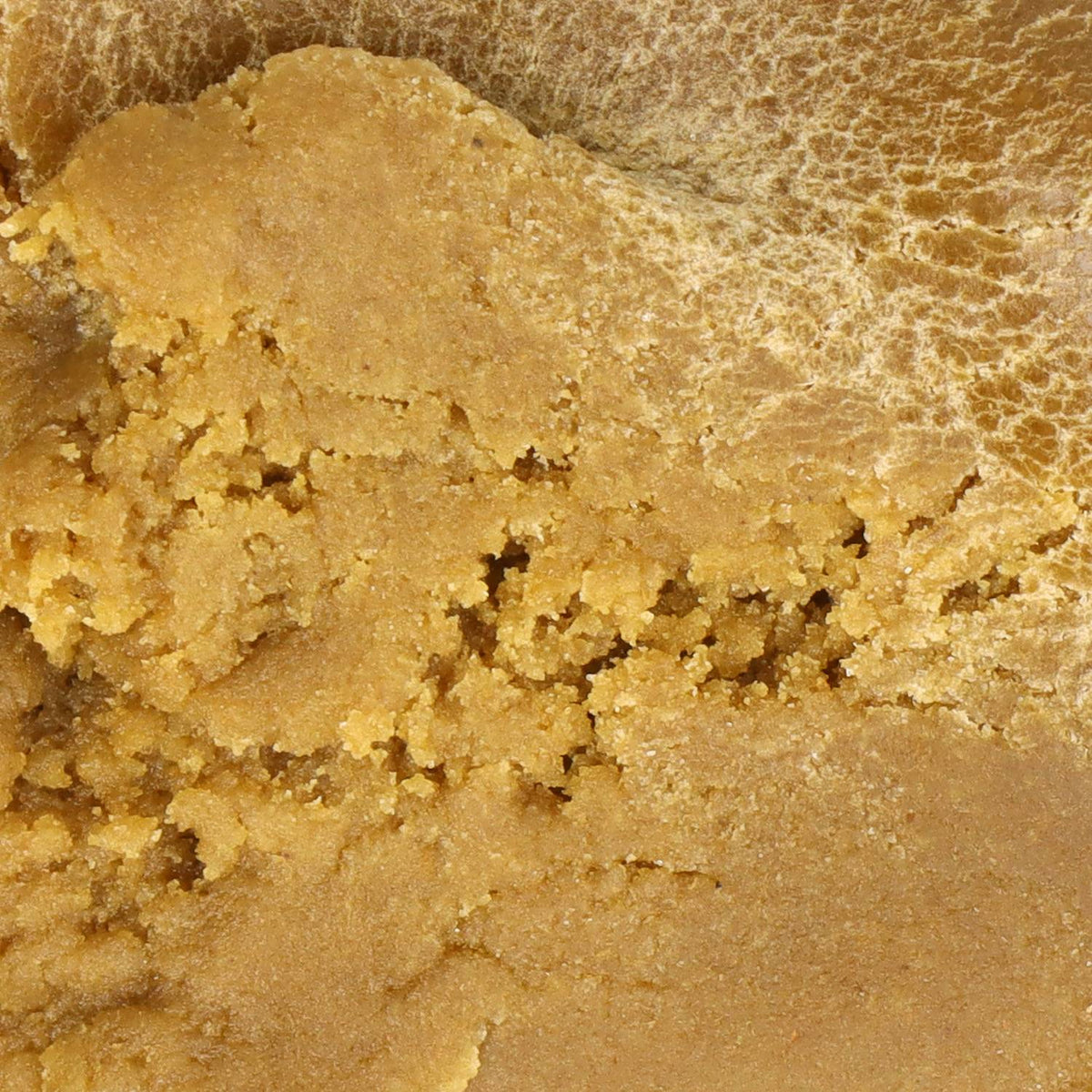 Texture résine premium