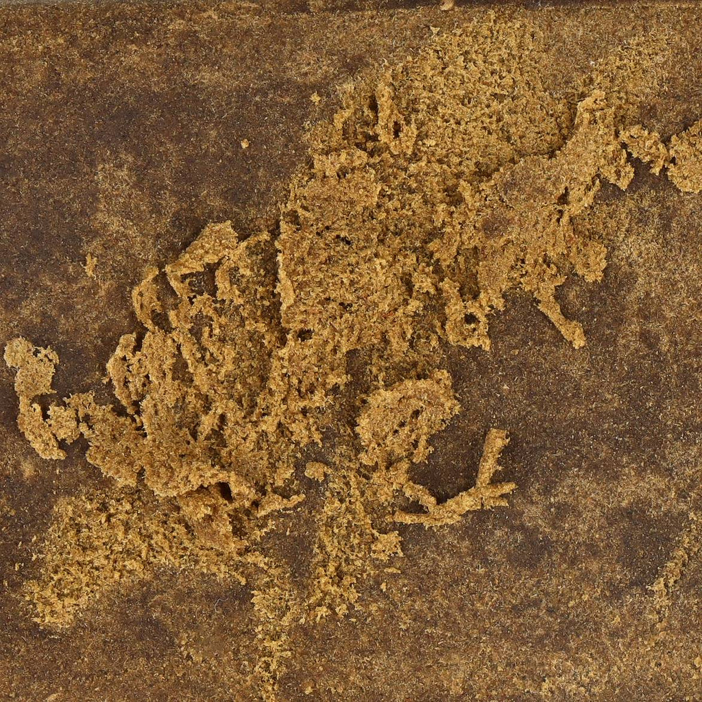 TEXTURE CBG