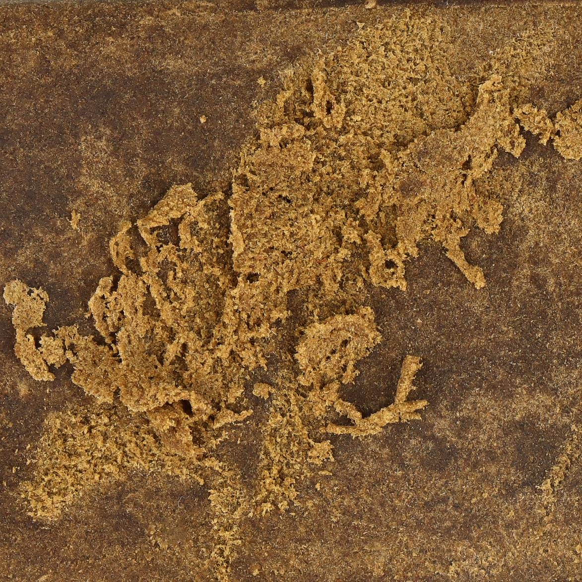 TEXTURE CBG