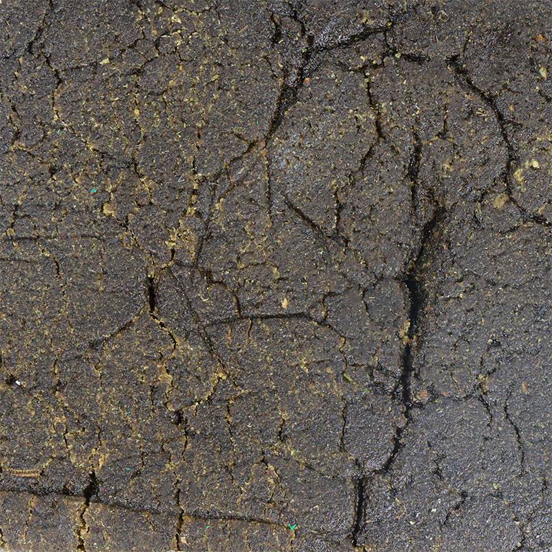 HASH SANS THC