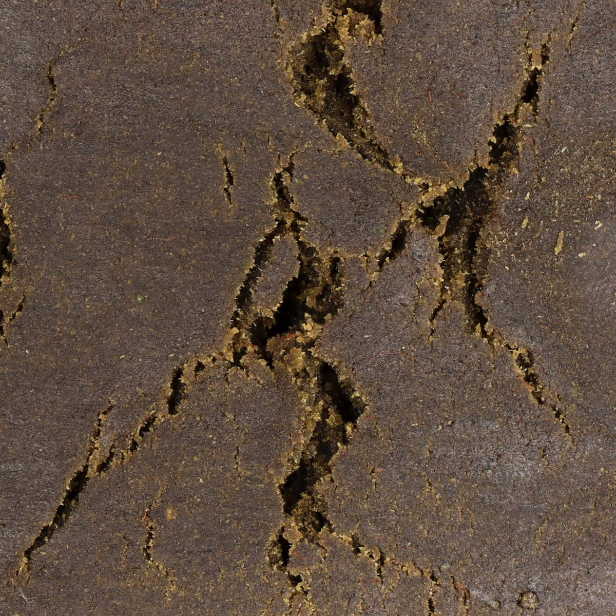 HASH FILTRÉE