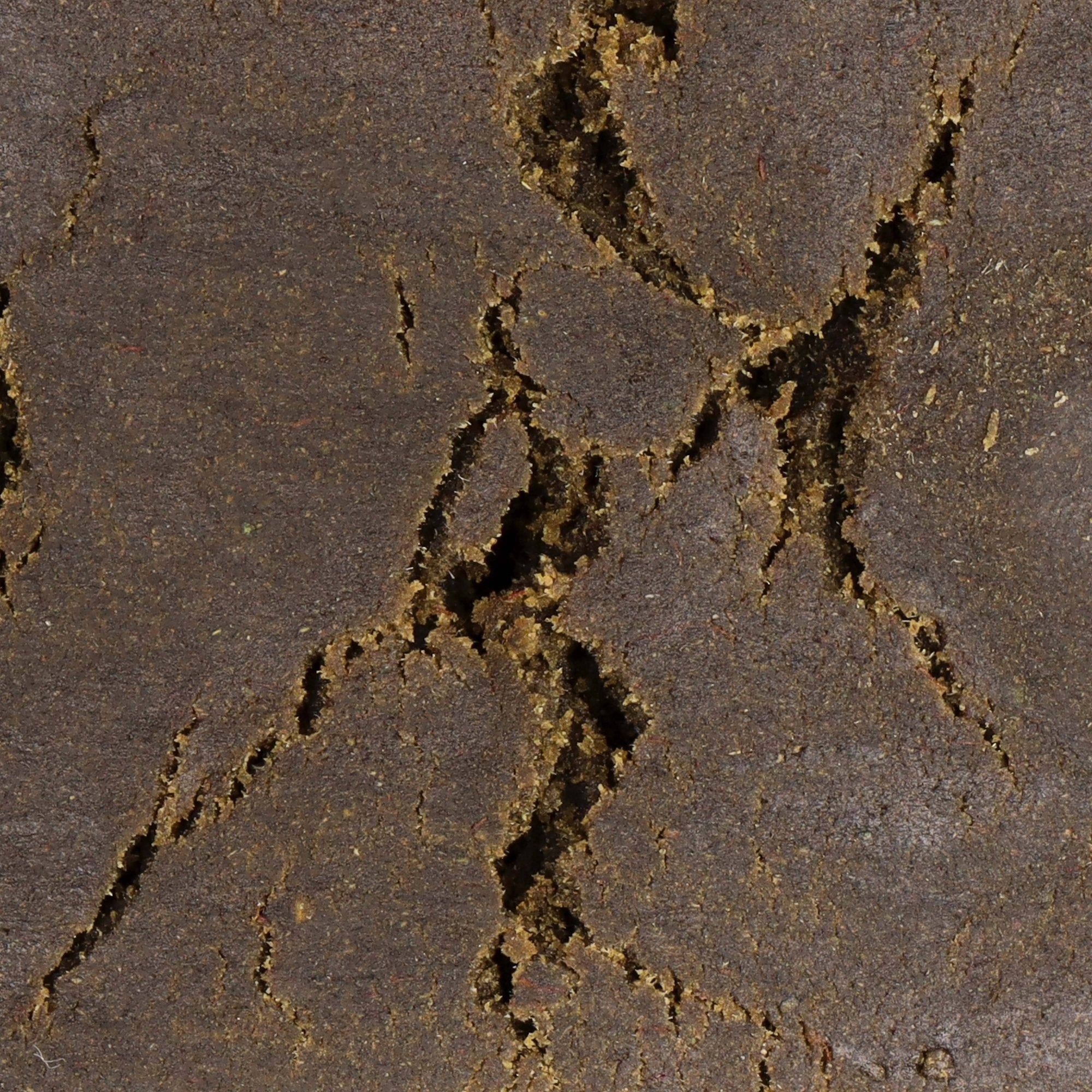 HASH FILTRÉE