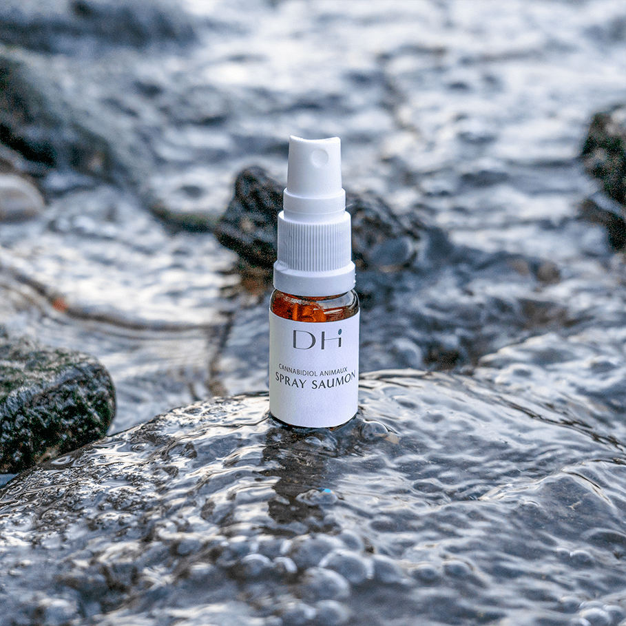 Spray saumon CBD - 2,5% Animaux (2)