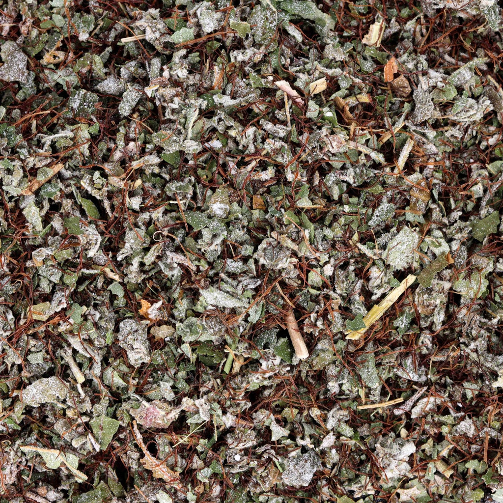 Feuilles de framboisier